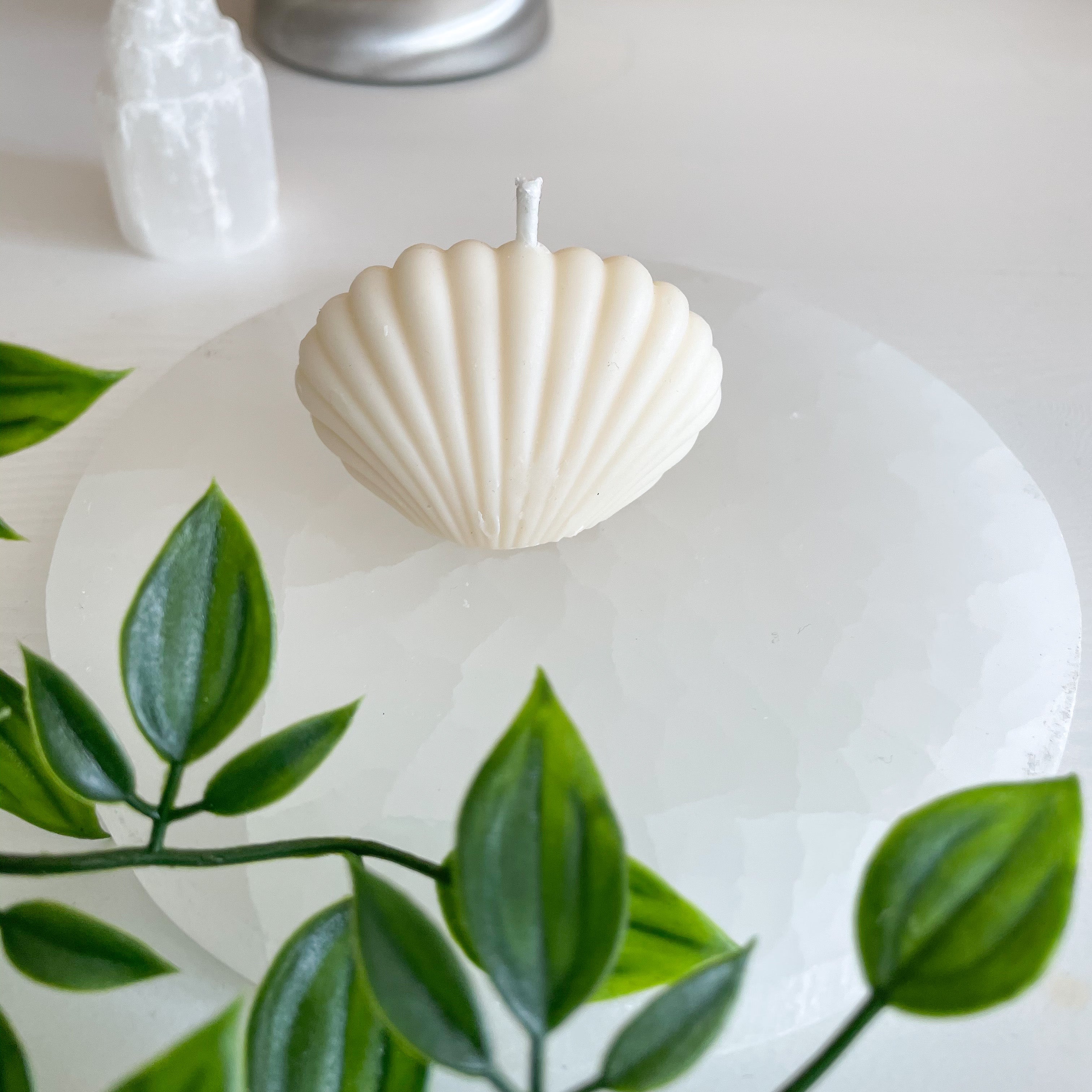 Sea Shell Candle